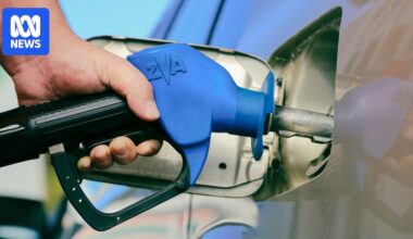 Calls for a national ethanol mandate to prevent future Iran war-style oil shocks