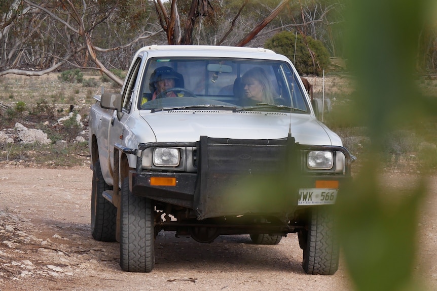A man and a woman sit in the front two seats of a white ute, driving up their farm driveway.