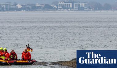 Whale stranded in Baltic will die unless helped to move soon, say experts | Germany
