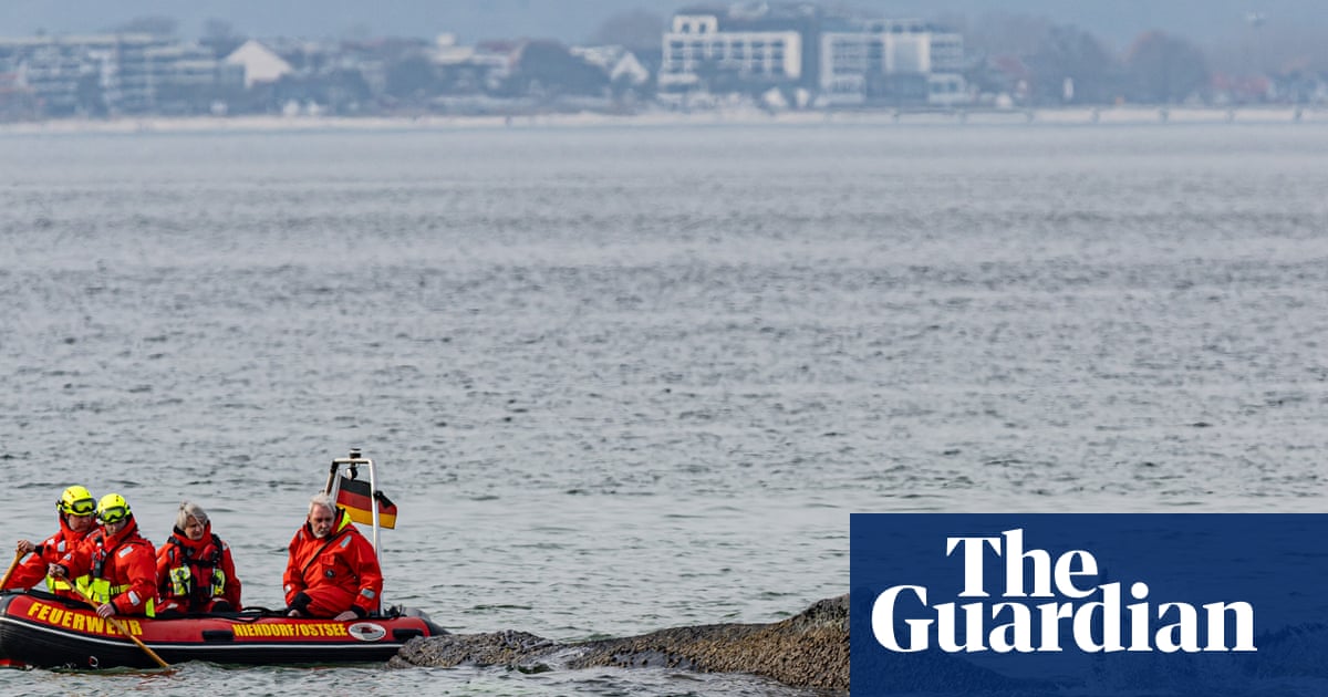 Whale stranded in Baltic will die unless helped to move soon, say experts | Germany