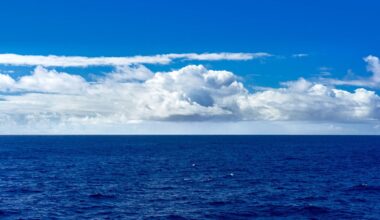 Guest post: How declining cloudiness is accelerating global warming