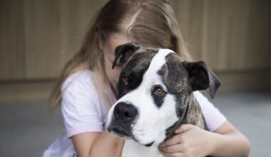 More than 120 families saved from domestic violence by Pet Refuge last year as harm levels spike