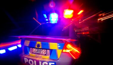 Whangārei alleged police assault: Pepper spray used, 2 men face charges