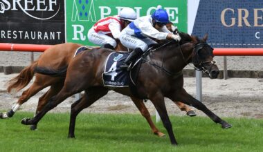 Horse racing: Savaglee set for stud career as offers come in for star galloper