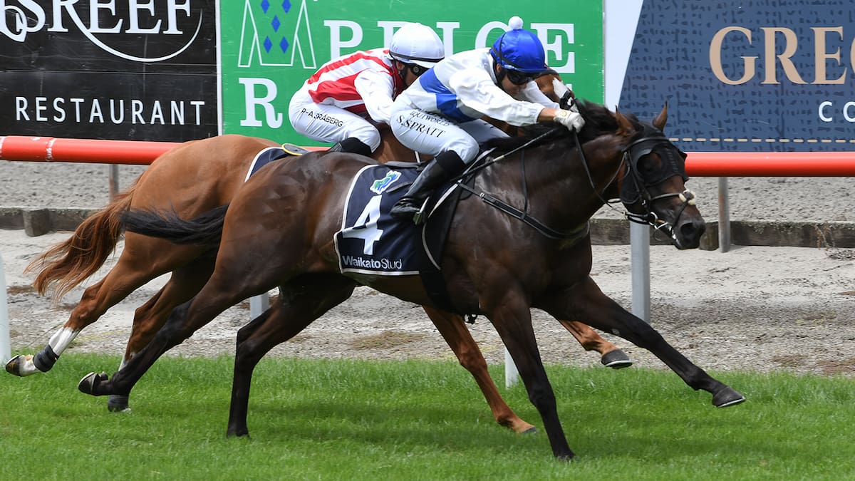 Horse racing: Savaglee set for stud career as offers come in for star galloper