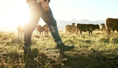 GDP growth not as strong as hoped in fourth quarter