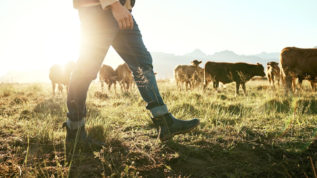 GDP growth not as strong as hoped in fourth quarter