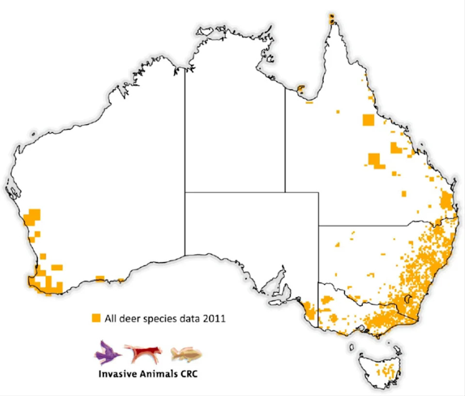 A map of deer spread across Australia Source: Invasive Species Council 