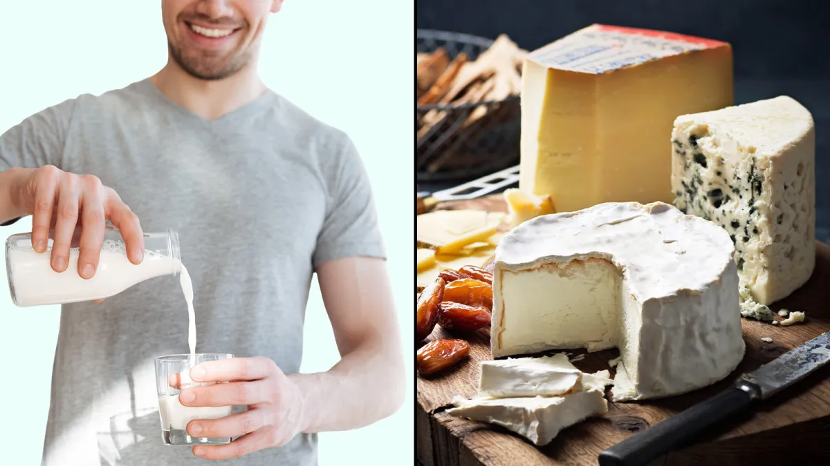 Milk, yoghurt, cheese — why full-fat dairy can be good for you