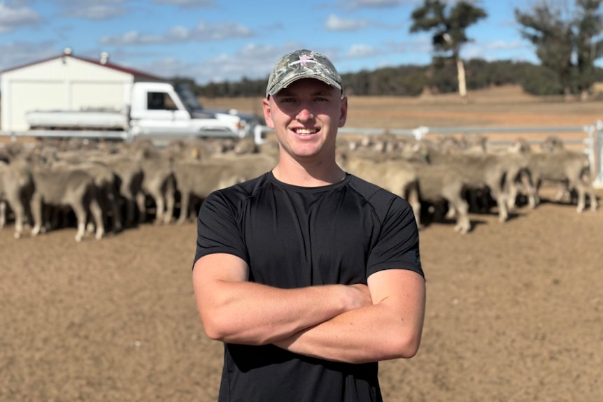 man standing in front of sheep