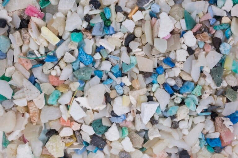 Traditional synthetic plastics don’t truly break down; they degrade into smaller and smaller pieces, known as micro- and nano plastics. These tiny plastic fragments cause myriad problems in the environment, potentially putting wildlife and human health at risk.