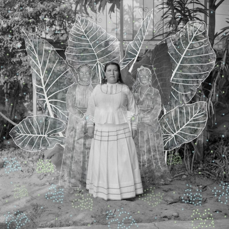 A woman in traditional clothing stands outdoors among large plants. White, hand-drawn outlines of two women and oversized leaves surround her, with small blue and green dots scattered throughout the scene.