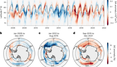 Wind-triggered Antarctic sea-ice decline preconditioned by thinning Winter Water