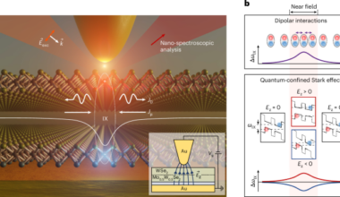 Interlayer exciton flux amplification driven by strong exciton confinement