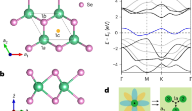 Observation of an obstructed atomic band in a transition metal dichalcogenide