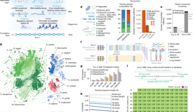 Genome modelling and design across all domains of life with Evo 2