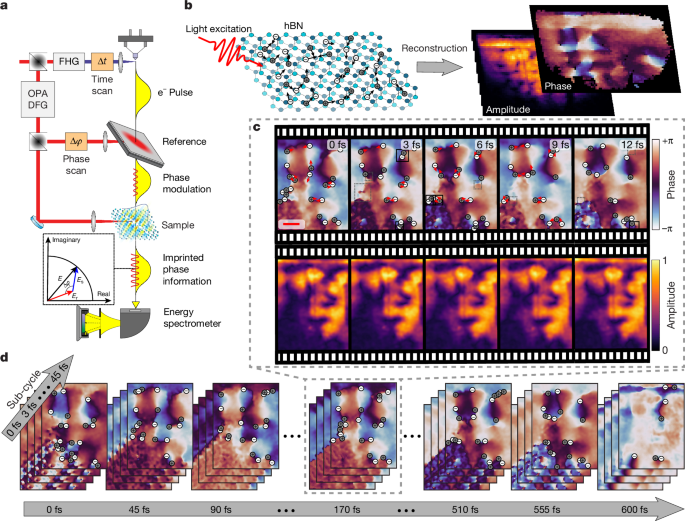 Superluminal correlations in ensembles of optical phase singularities