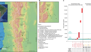 Local agricultural transition, crisis and migration in the Southern Andes