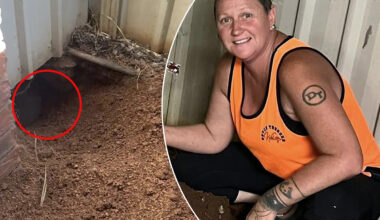 Resident's discovery under Aussie carport prompts ‘very distressed call’ for help