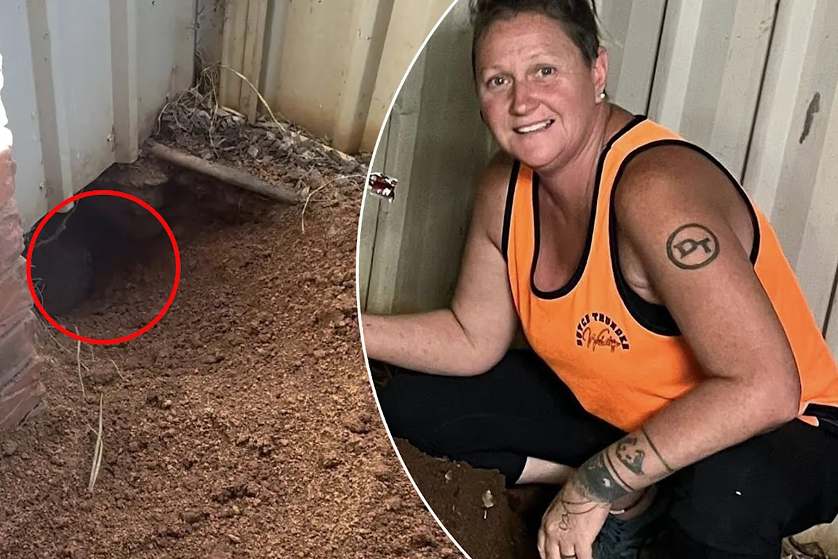 Resident's discovery under Aussie carport prompts ‘very distressed call’ for help