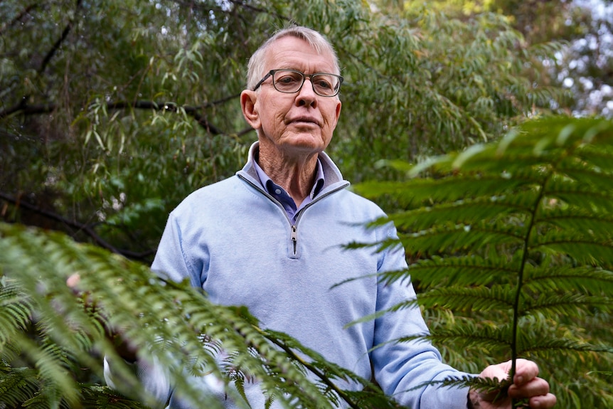 Man wearing glasses standing by ferns