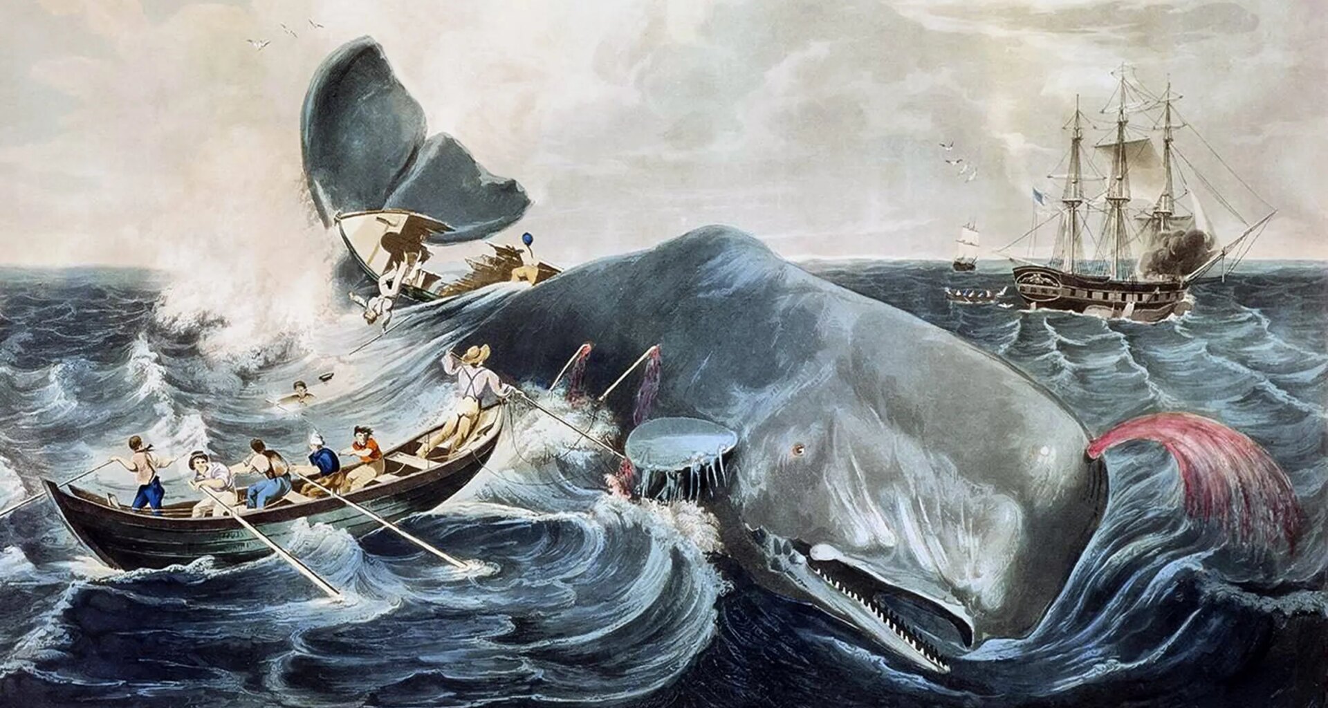 Illustration of whaling in the open sea, with a sperm whale, small boats, and a ship.