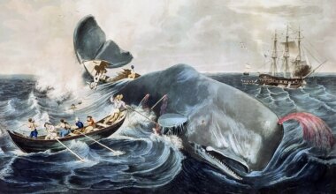 Illustration of whaling in the open sea, with a sperm whale, small boats, and a ship.