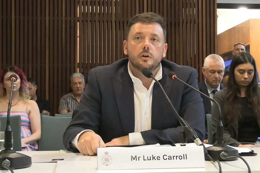 A man in a suit sitting at a parliamentary committee hearing speaking into a microphone.