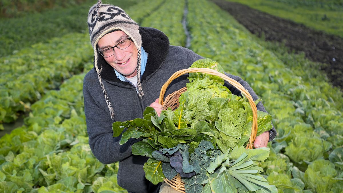 No proof locked Kia hybrid caused Hawke’s Bay man’s death, coroner finds