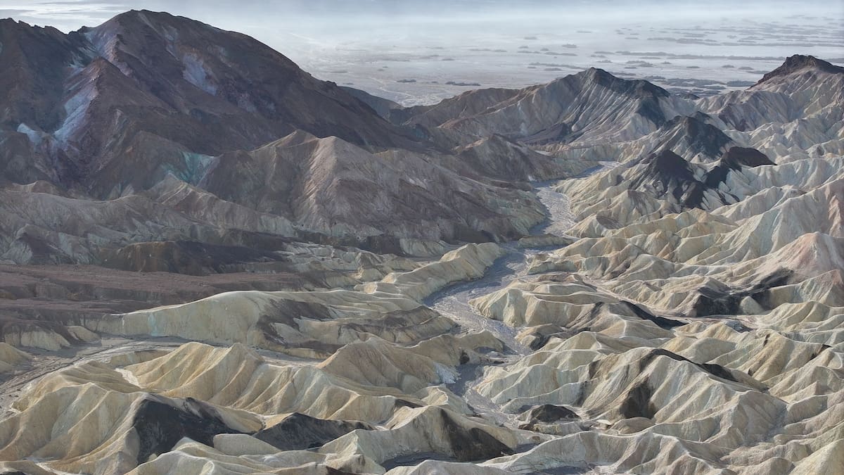 Herald morning quiz: March 2 - New Zealand News