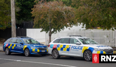 Death on road in Auckland's Mt Albert not suspicious, police say