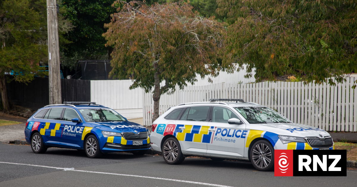 Death on road in Auckland's Mt Albert not suspicious, police say