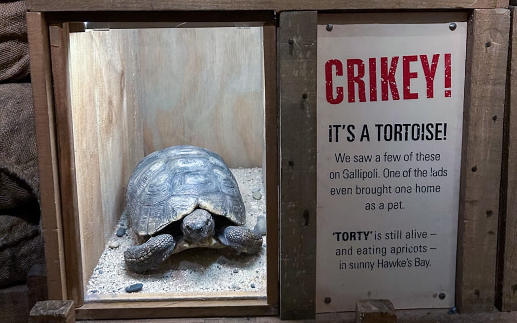 A replica of Torty at Te Papa.