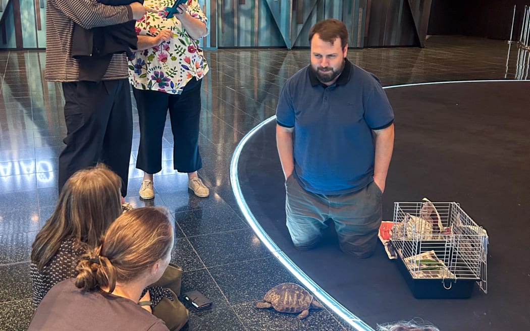 Torty the tortoise visiting Te Papa.