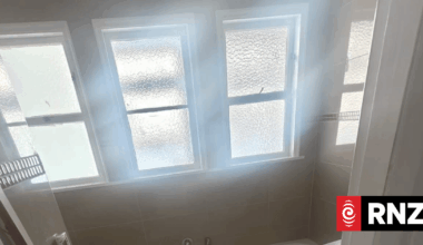 Property manager behind rental at centre of Mt Albert violence claims victim tag