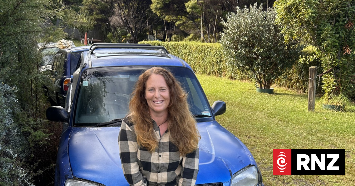 Care workers' unions take Health NZ to court over travel costs as petrol prices soar