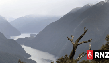 Tsunami warnings may not have time to trigger