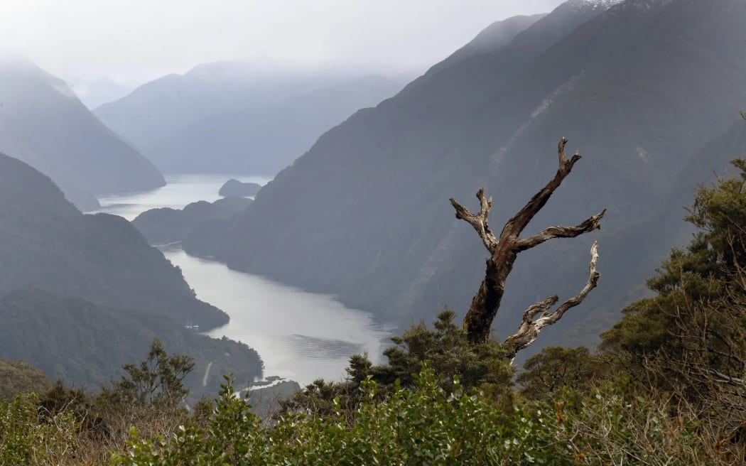 Fiordland has been marked as an area that would face 