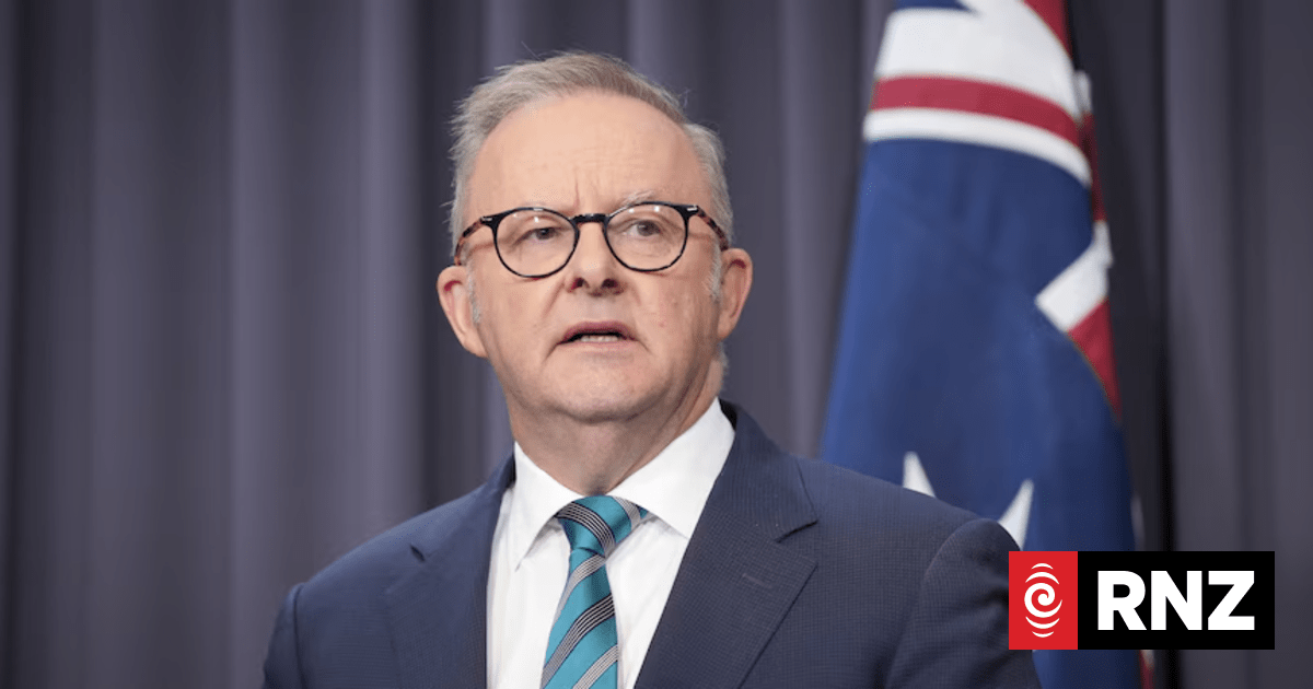 Australian government halves fuel excise for three months to ease cost of petrol, diesel