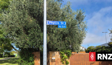 Neighbours want action on short-term rental party house after violent night