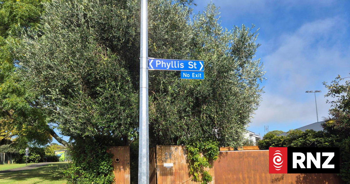 Neighbours want action on short-term rental party house after violent night