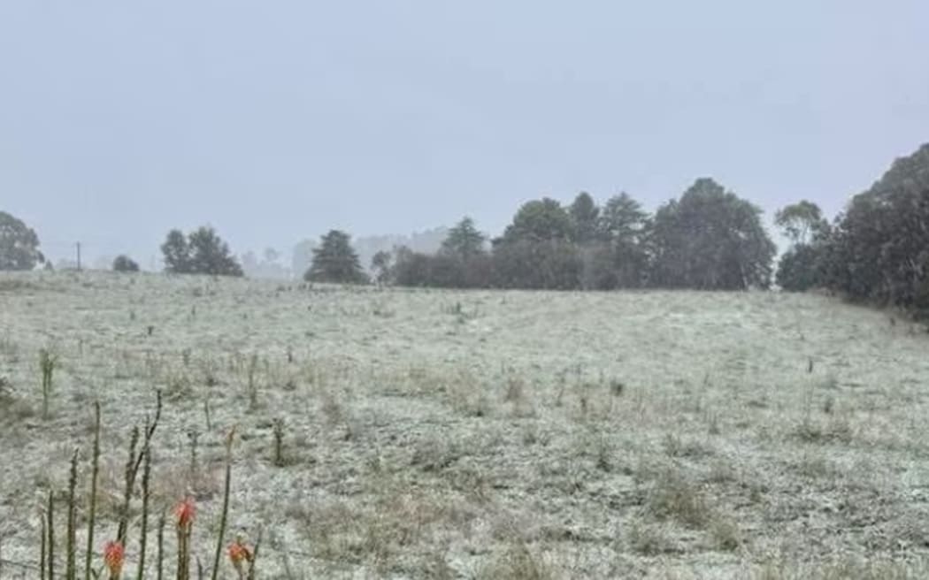 Paddocks at Springside NSW had a blanket of snow on Friday morning.