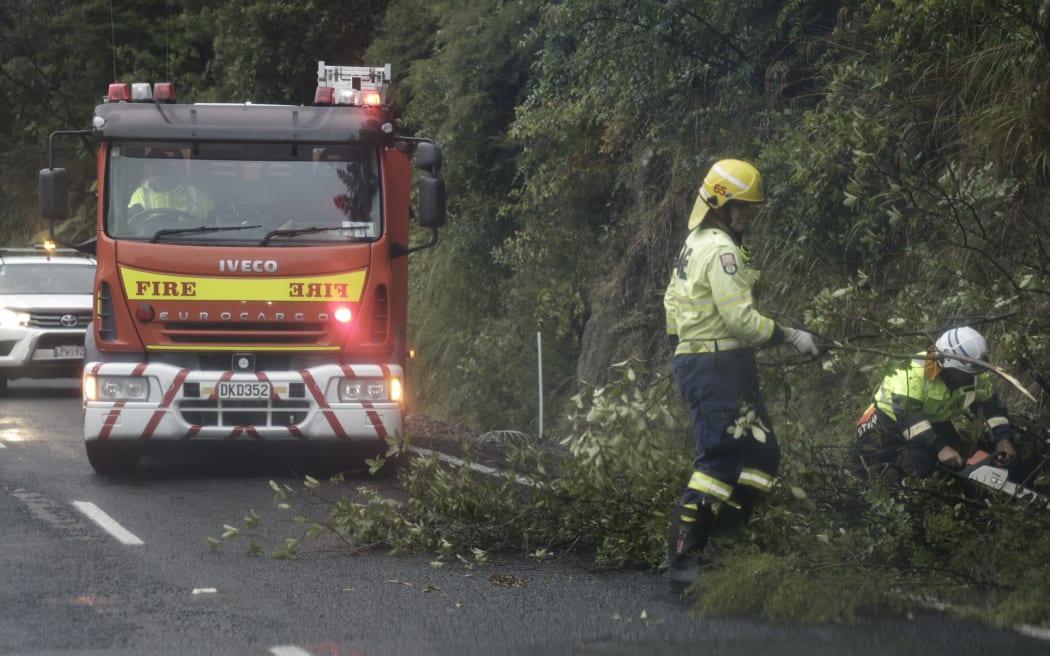 State Highway 25 just north of Whangamata, crews clear a fallen tree.