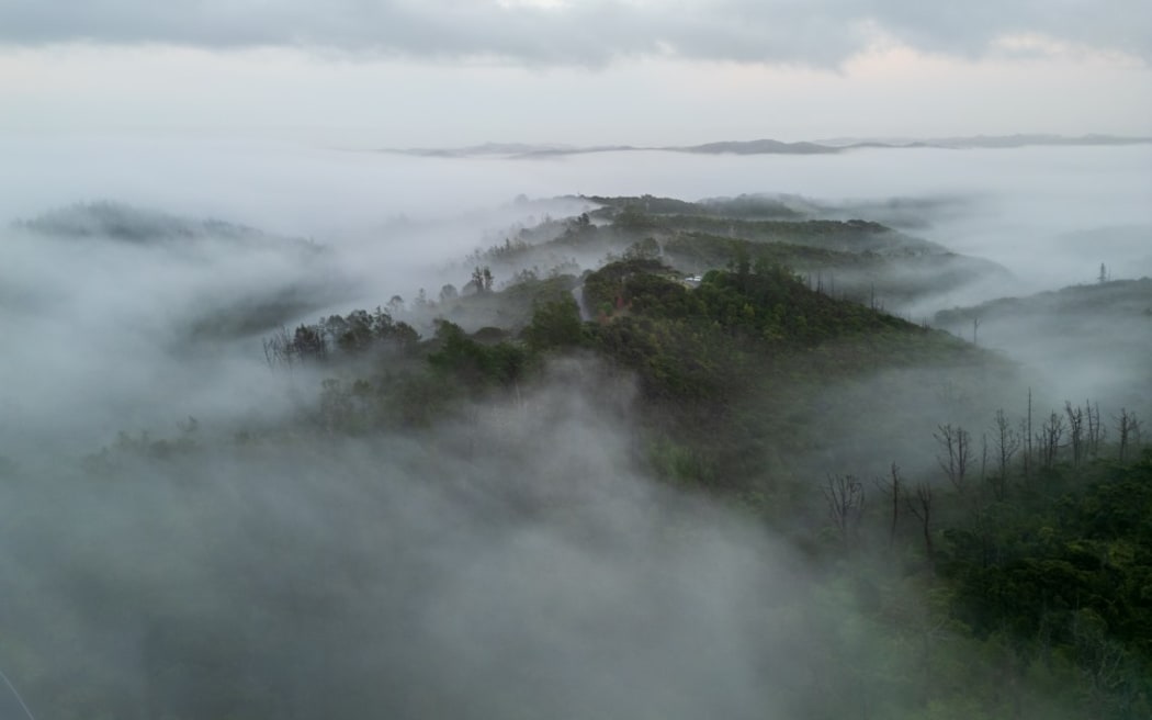Fog in the Bay of Islands the day after the Northland severe rain.