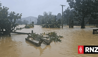 Woman, two young children rescued from car trapped in rising flood water