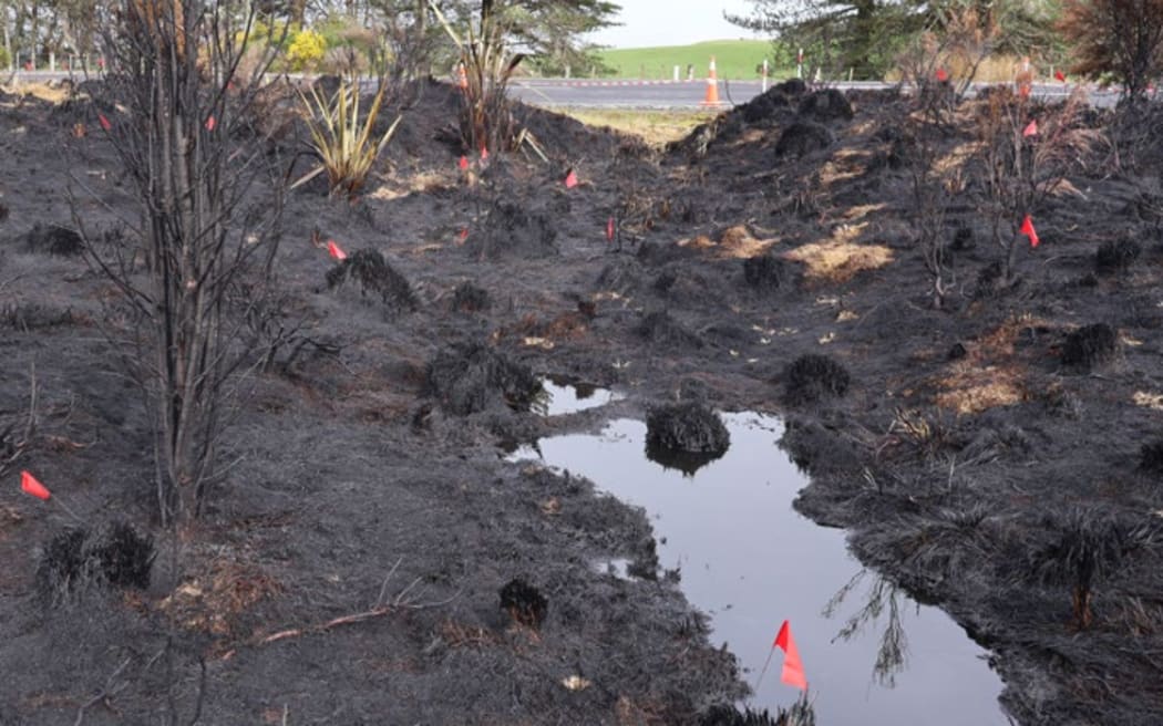 Fire damage at Tongariro National Park.