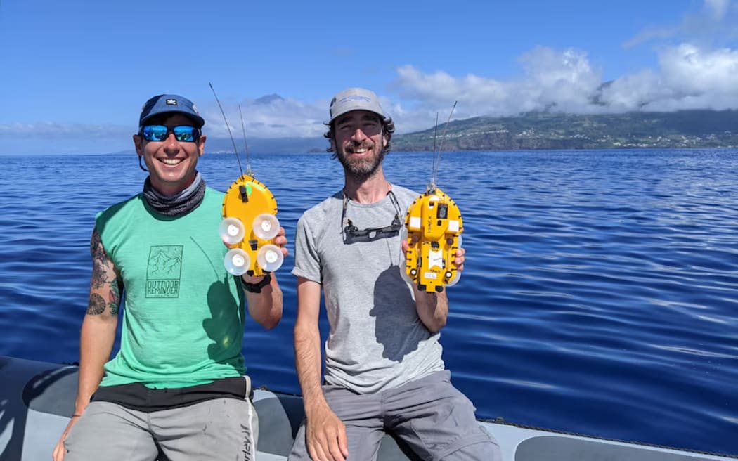 Sperm whale researchers Alec Burslem and Rui Prieto with non-invasive suction cup tags that record sound and movement.