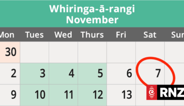 The House: What to expect when you're expecting an election