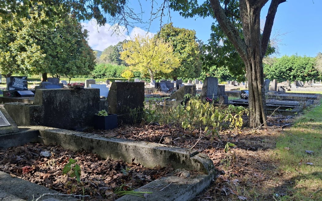 Weeds overgrow near headstones at Rotorua Cemetery and Crematorium on Sala St. Photo / Mathew Nash