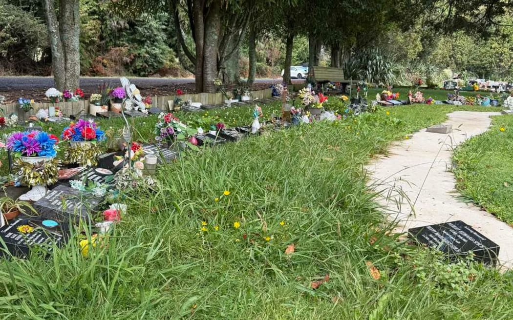 Overgrown grass and weeds at Kauae Cemetery.